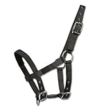 WALDHAUSEN Mini-Shetty Halfter