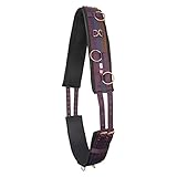 IMPERIAL RIDING Longiergurt Deluxe Extra