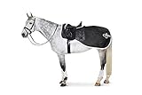 Eskadron Fly Dura Ausreitdecke Pure schwarz - XL
