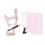 Panduro Hobby Horse Outfit Set, Wolldecke + Nylonhalfter mit Metallschnallen + Leine für...
