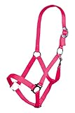 HKM 27868045.0226 Halfter -Stars Economy Softice- Kaltblut, Neon pink
