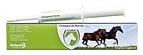 Excellent Vitasporal Horse 1 Injector