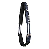 IMPERIAL RIDING Longiergurt Deluxe Extra