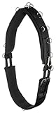 Equinate Longiergurt Conway mit Memory Foam Pony - 17 Ausbinderringe und 2 Karabinerhaken -...
