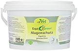 EquiGreen Magenschutz