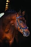 Horseware Rambo Micklem Multibridle 3 in 1 Trense braun wählbare Größe (Standard Horse)