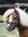 BUSSE Trense LITTLE