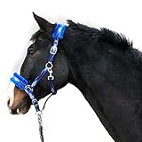 Halfter für Pferde Fell Halfter unterlegt Halfter blau in den Größen xfull Halfter, Pony, Cob,...