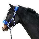 Halfter für Pferde Fell Halfter unterlegt Halfter blau in den Größen xfull Halfter, Pony, Cob,...
