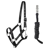 PFIFF 102931 Halfter und Strick Set, Kunststoffhalfter Führstrick, Schwarz Cob
