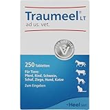 Traumeel LT ad us. vet. 250 Tabletten | Natürliches Tierarzneimittel für Hunde, Katzen, Pferde,...