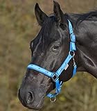 WALDHAUSEN Halfter Pferdchen Warmblut, azurblau