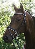 Hans Melzer Horse Equipment Trense Wiesbaden, schwarz/weiß unterlegt, Warmblut
