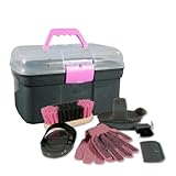PFIFF 100576 Putzkiste mit Inhalt, Kinderputzbox, 6-teiliges Putzzeug für Kinder, Pferdepflege,...