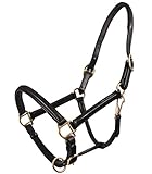 QHP luxeriöses Lederhalfter fein, verstellbar und weich unterlegt (Warmblut, Schwarz)