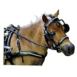 Tysons Breeches Juwel Brustblattgeschirr Brustblatt Geschirr Einspänner Glitzer Lack Leder...