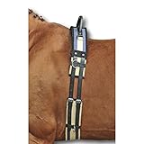 equi-deluxe Longiergurt mit Haltegriffen, Voltigiergurt, Reitlerngurt aus Leder und hochwertigem...
