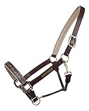 ARBO-INOX Lederhalfter mit Strasssteinen Namensplatte (COB VOLLBLUT, BRAUN)