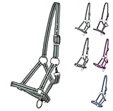NETPROSHOP Fohlenhalfter 3-Fach Verstellbar für Falabella/Shetty/Pony/Full, Groesse:Fohlen Full,...