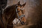 Horsecode Trense Moonlight Diamond W Warmblut