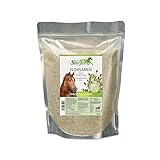Stiefel Flohsamen für Pferde, 100% naturbelassene indische Flohsamenschalen, unterstützt die...
