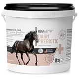 ReaVET Darm Prebiotic 1kg für Pferde, Magen Darm Pferd, Kotwasser Pferde, Darmprobleme Pferd,...