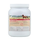 Makana Kollagen Hydrolysat für Pferde, 1 kg Dose