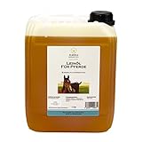 Leinöl für Pferde 5 Liter, stets frisch aus 1. Kaltpressung, naturbelassen, mit Öko-Strom in...