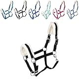 RL24 - Halfter mit Plüschpolsterung Basicline | Halfter für Pferde & Ponys | Pferdehalfter mit...