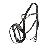 Horsecode Trense Brown Magic Warmblut