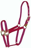 Hamilton 3/4' Nylon Arabian Horse Halter for 800 to 1100 Pound Horse, Wine