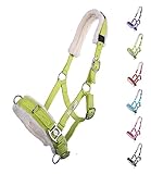 NETPROSHOP Kappzaum Longierhilfe für Bodenarbeit Shetty, Pony, Cob, Full, Groesse:Shetty,...