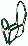 Hamilton Pferdehalfter, 2,5 cm, Nylon, mit Druckknopf am Hals