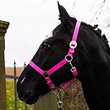 Halfter für Pferd Warmblut, Vollblut, Kaltblut – Stallhalfter, Weidehalfter, 2 Fach verstellbar...