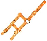 EKKIA Verstellbares Mini Halfter orange Mini-Fohlengröße