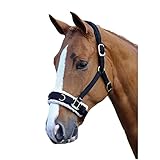 Shires mit Fleece bezogener Longen-Kappzaum – Schwarz, schwarz
