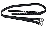 Passier & Sohn GmbH Steigbügelriemen Passier mit Nyloneinlage schwarz - 150