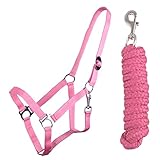 QHP Halfter-Set Beginner Halfter + Führstrick Heavy Karabinerhaken (Pony, Flamingo pink)