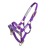 Monty Roberts Offizielles Dually-Trainingshalter, Mini-Pferd (mit DVD)