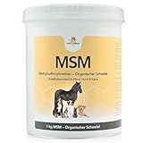 Mahu Natur 1 kg MSM Pferd Und MSM Hund Hochdosiert - Methylsulfonylmethan (Organischer Schwefel) -...