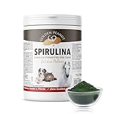 GOLDEN PEANUT Spirulina Pulver 500 g - 100% Reine Spirulina Alge für Pferd, Hund und Katze, Premium...