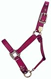 Hamilton Verstellbares Pferdehalfter aus Nylon, 2,5 cm, kleine Größe 500 bis 362,9 kg, Weinrot