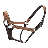 Carhartt Pferdehalfter, Nylon, bequem, langlebig und verstellbar, gerollt, groß