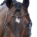 MagicTack Stirnriemen Pferd Größe Warmblut Bling Geschwungen Regenbogen Kristalle