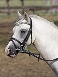 BUSSE Trense LITTLE