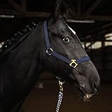 Halfter für Pferd Warmblut, Vollblut, Kaltblut – Stallhalfter, Weidehalfter, 2 Fach verstellbar...