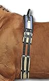 HKM 1795 Longiergurt mit Haltegriff, Gurt Longieren, Canvas, Vollblut/Warmblut