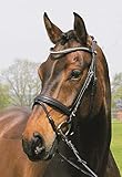 Hans Melzer Horse Equipment Trense Mechtersen, schwarz/silber, Vollblut