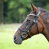 Heinick Trense Fenja Schnallen Schwarz Lack Schnellwechselsystem ~ Warmblut ~