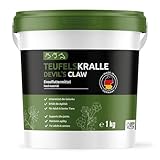 GreenPet Teufelskralle Hunde, Pferde & Katzen 1 kg – Unterstützt Gelenkfunktion & Agilität,...